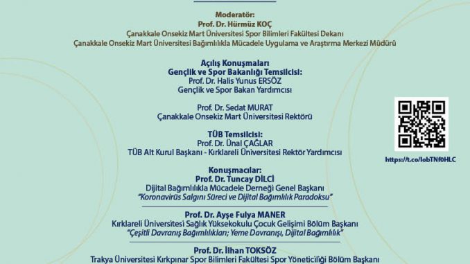 Afiş (1 Adet)